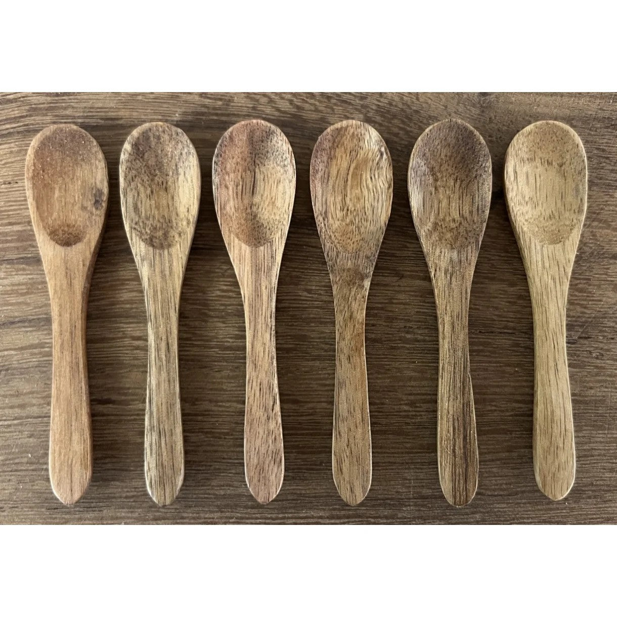 Teske- akacietræ - 9 cm