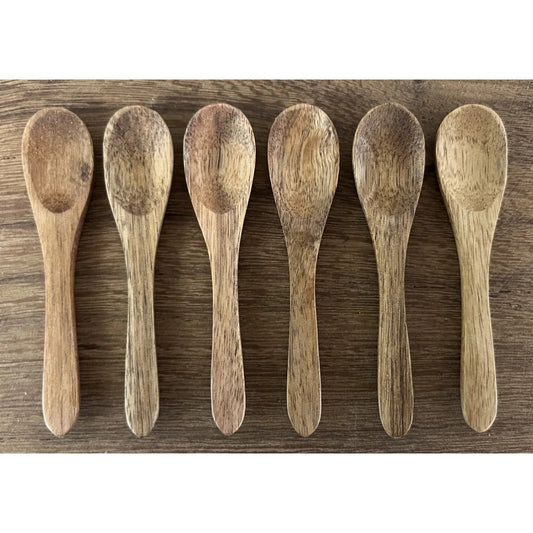 Teske- akacietræ - 9 cm