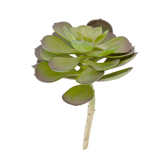 Kunstig plante - Hen Succulent Pick