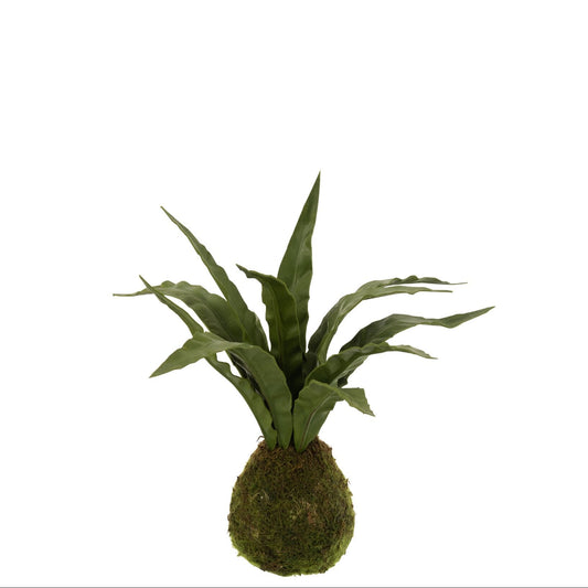 Kunstig plante - Slangeplante - 32 x 30 x 35 cm