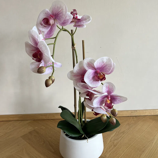 La vida - kunstig orkide - H 52 cm
