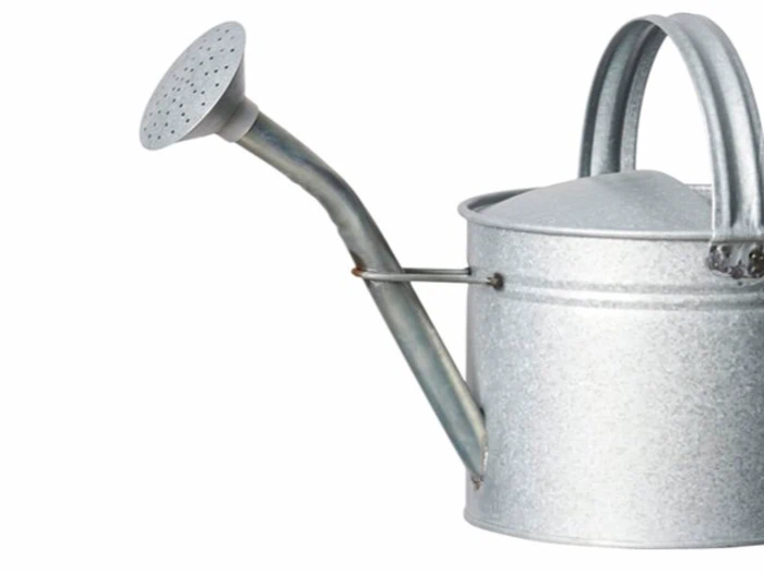 Lauvring - Vandkande - Zink - 5 L