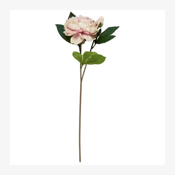 Ib Laursen - Pæonstilk m/1 blomst og 1 knop lyserød- L 55 cm
