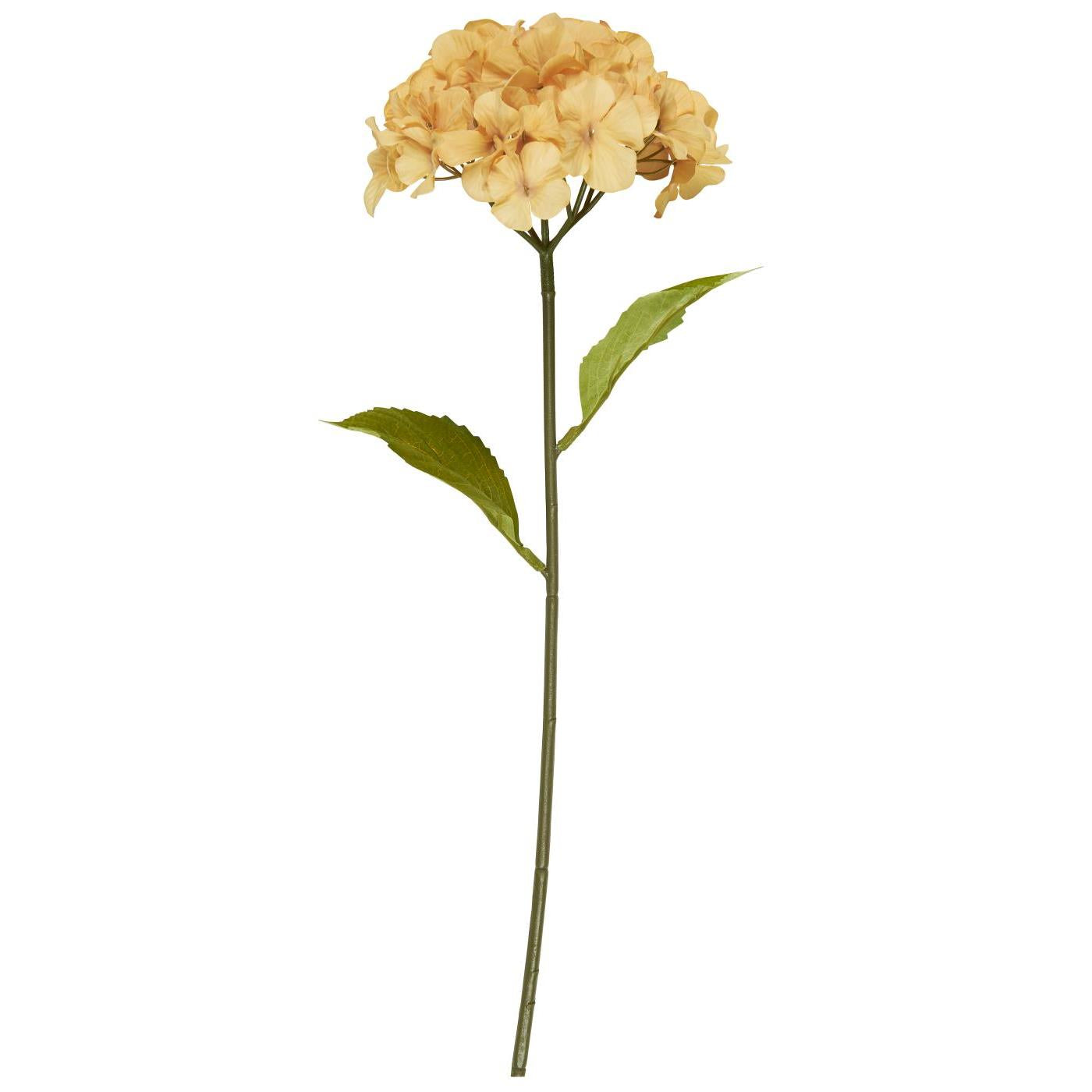 Ib Laursen - hortensiastilk gylden - L: 60 Ø: 15 cm