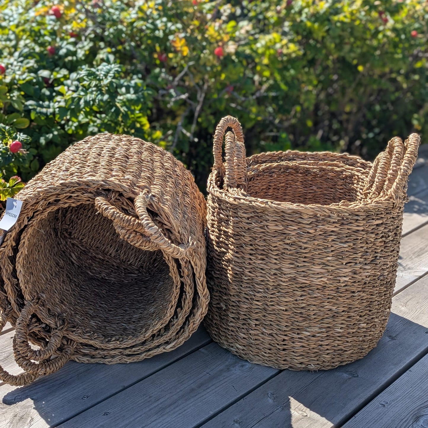 Kurvesæt - 3 stk - søgræs - rund cylinder - høje