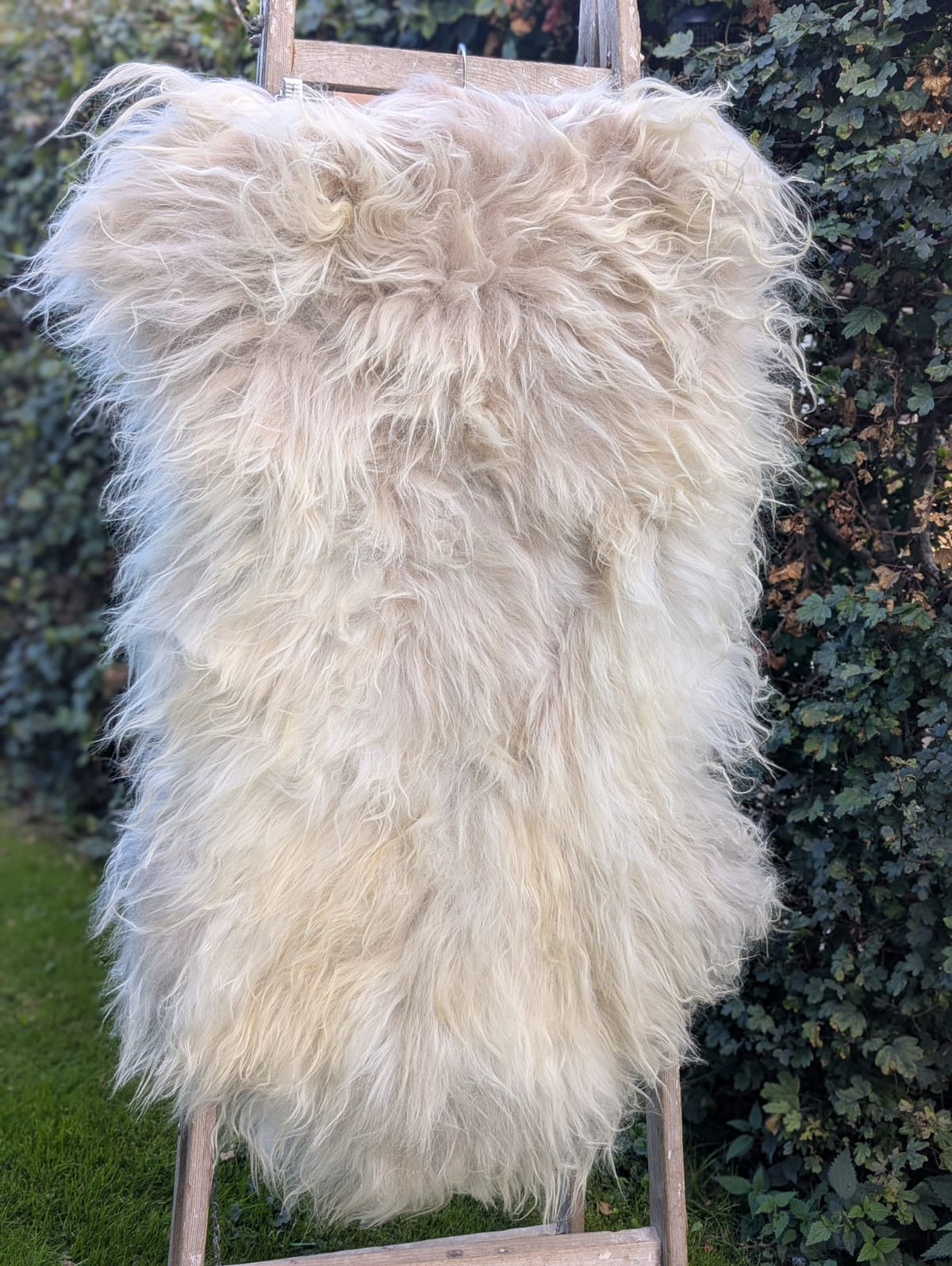 Langhåret lammeskind - Hvid m. pletter - 120 cm