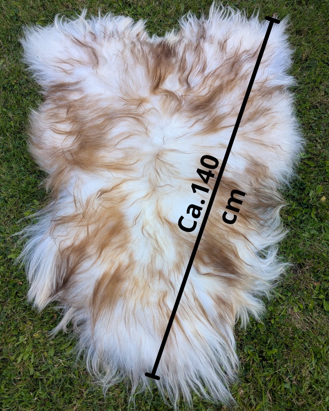 Langhåret Lammeskind - Hvid m. Brune Spidser - 130 cm (L)