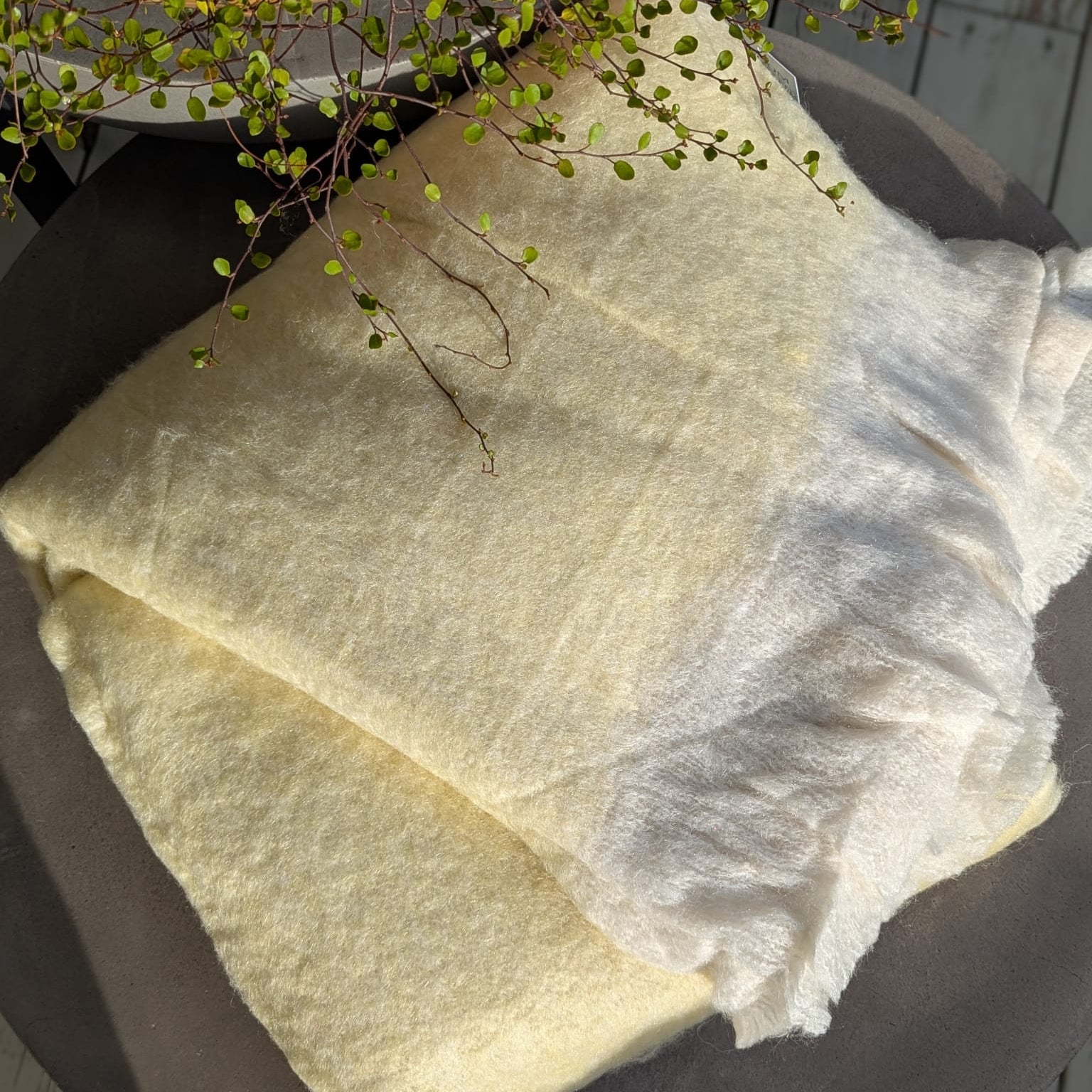 plaid - uld - gul med hvide frynser