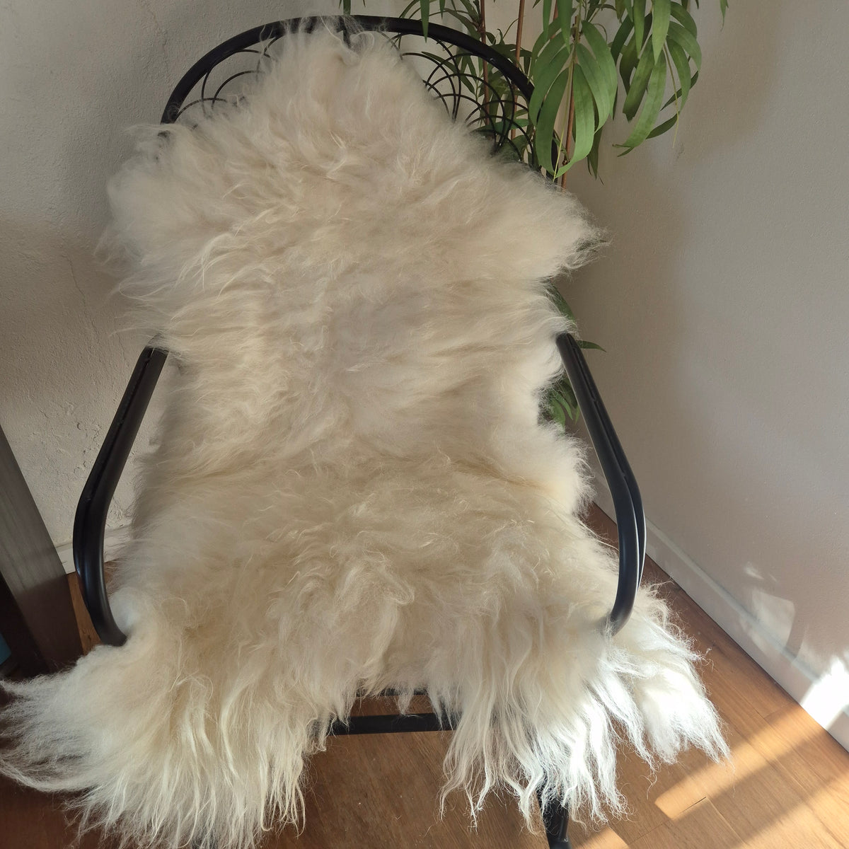 Langhåret lammeskind 120 cm Hvid