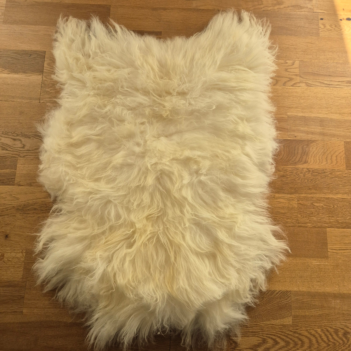 Langhåret lammeskind 120 cm Gylden